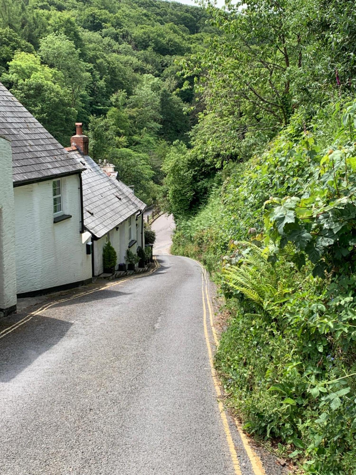 Pine Lodge Lynton Bagian luar foto
